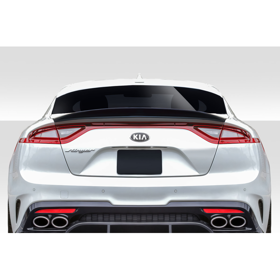 All kind of body kits for KIA Stinger 2018. Exterior/Wings 