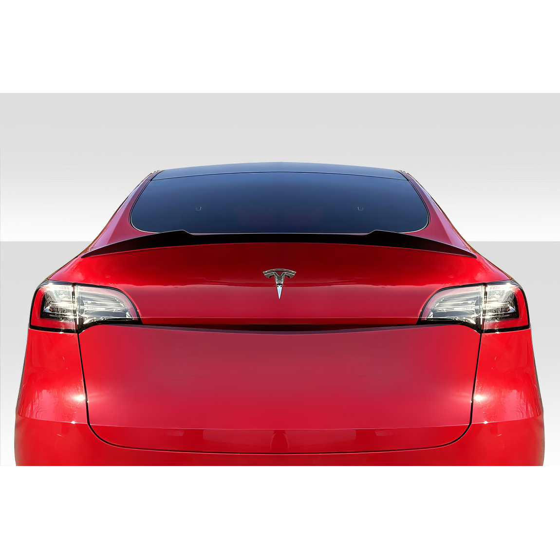 All kind of body kits for Tesla Y 2020. Exterior/Wings 