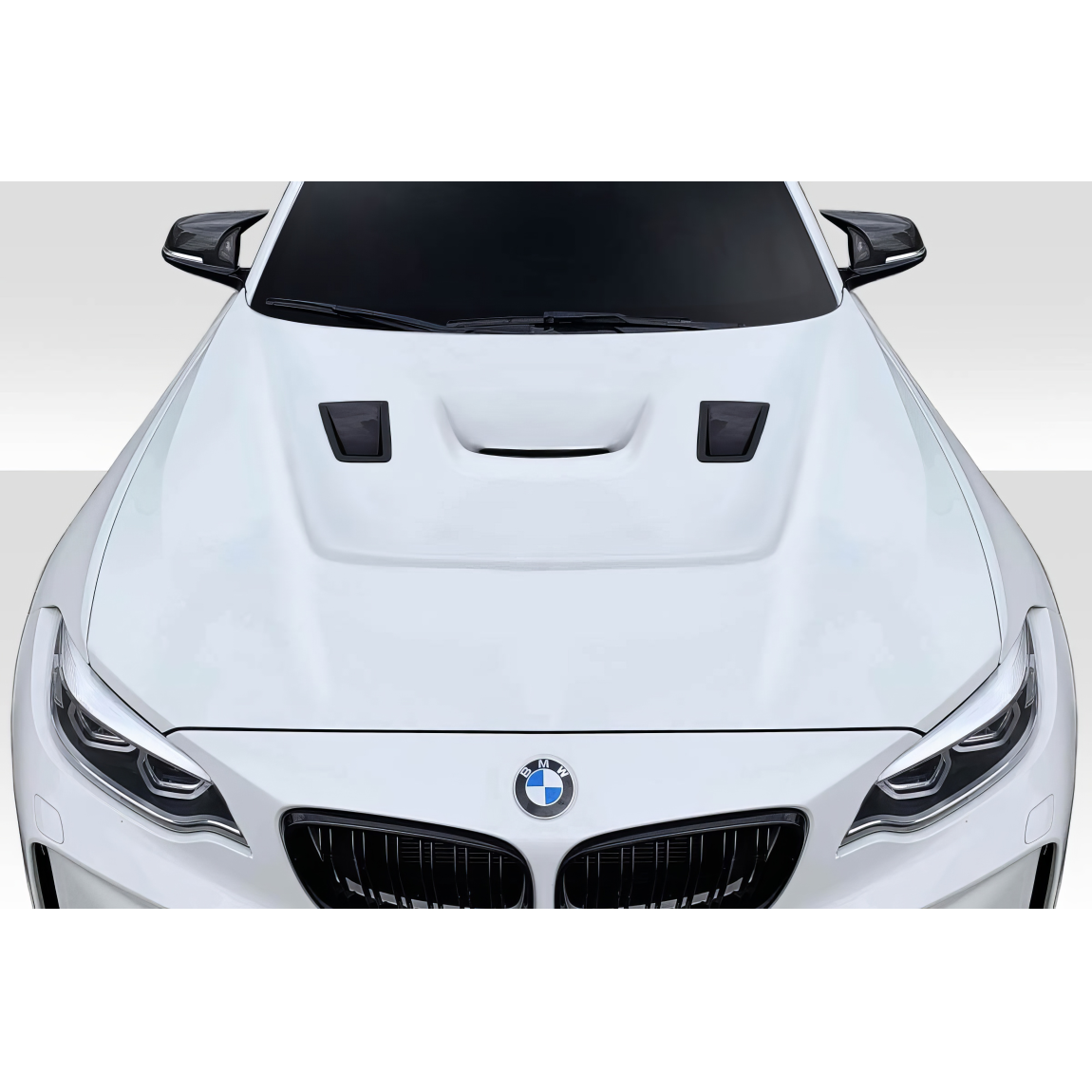 All kind of body kits for BMW 2-Series 2014. Exterior/Hoods 