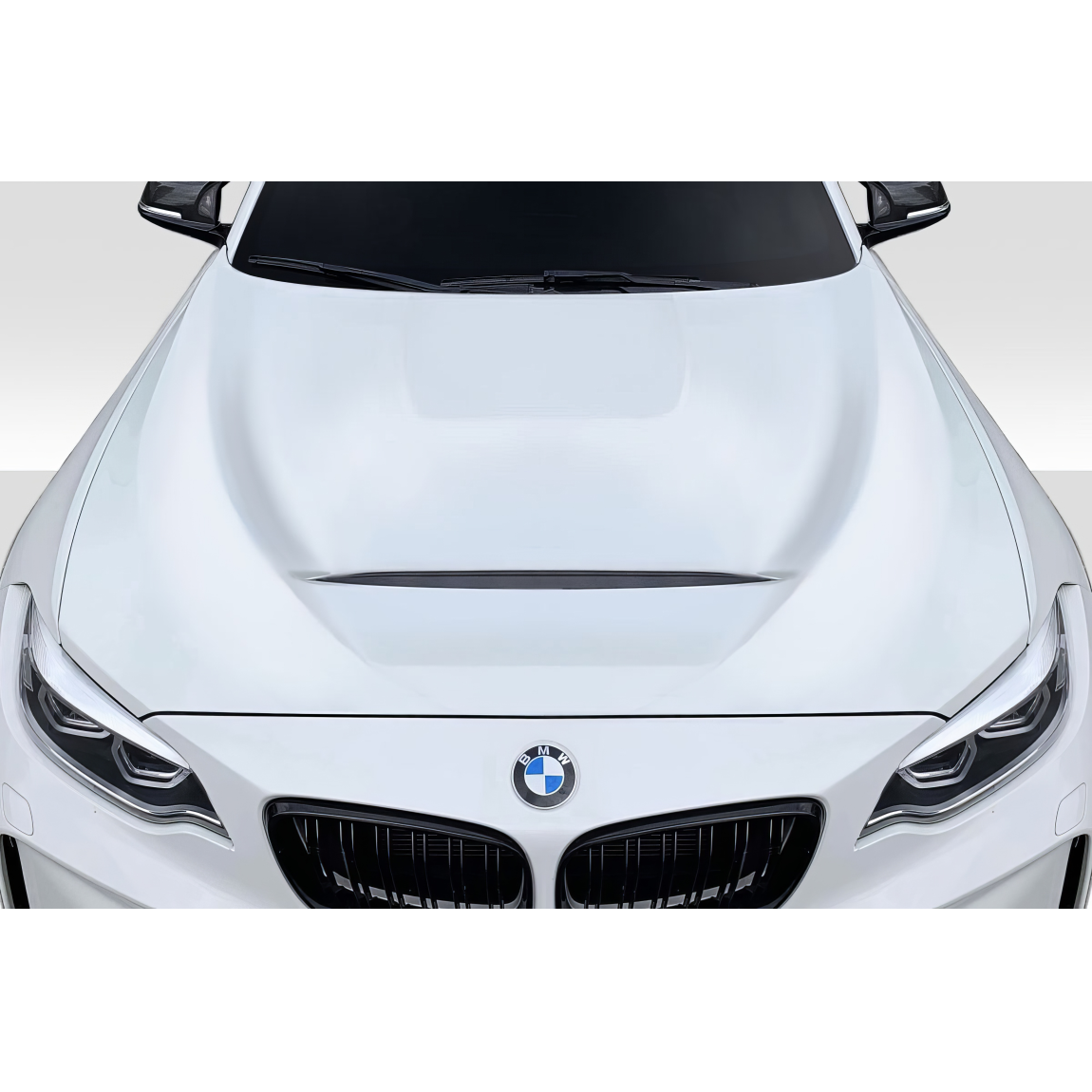 All kind of body kits for BMW 2-Series 2014. Exterior/Hoods 