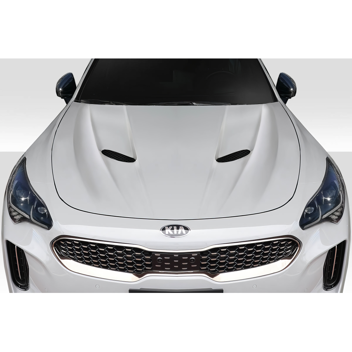 All kind of body kits for KIA Stinger 2018. Exterior/Hoods 