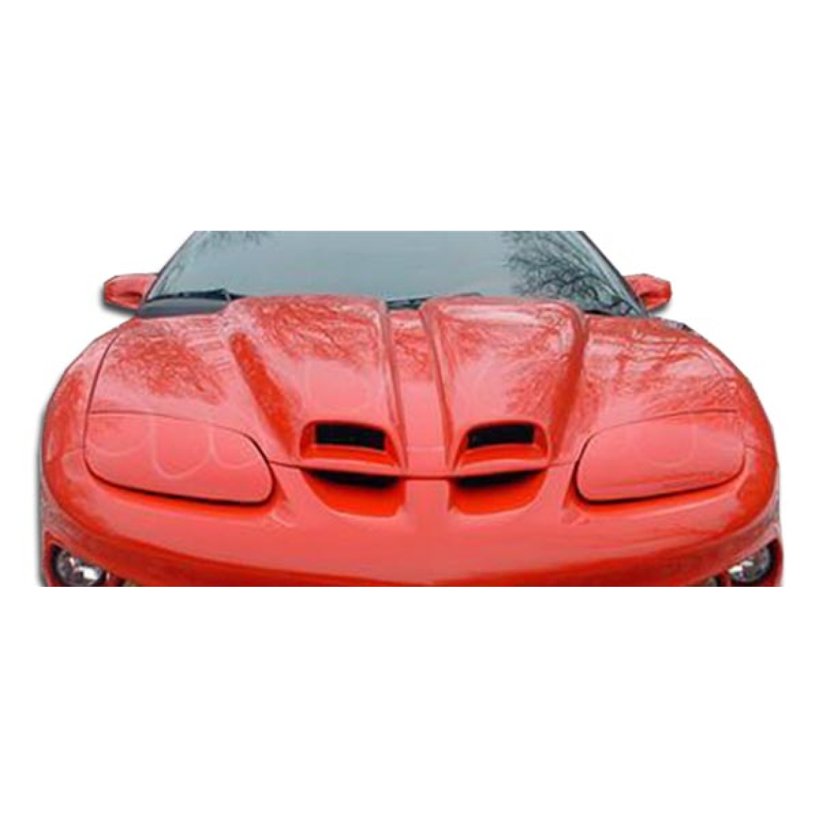 All kind of body kits for Pontiac Firebird 1998. Exterior/Hoods 