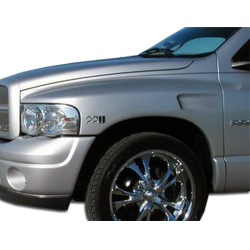 2002-2005 Dodge Ram Duraflex Platinum Fenders - 2 Piece image - 1