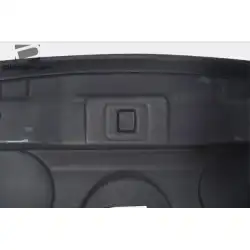 1999-2004 Ford Mustang Venom Hood image - 23