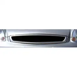 2003-2007 Infiniti G Coupe Sigma Grille image - 3