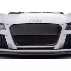 2008-2015 Audi R8 T42 AF Signature Series Grille ( GFK ) - 1 Piece image - 1