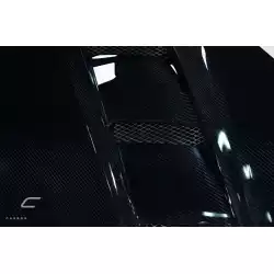 2010-2012 Hyundai Genesis Coupe 2DR DriTech RS-1 Hood - 1 Piece image - 4