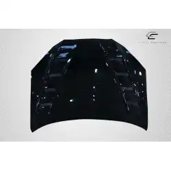 2010-2012 Hyundai Genesis Coupe 2DR DriTech RS-1 Hood - 1 Piece image - 6