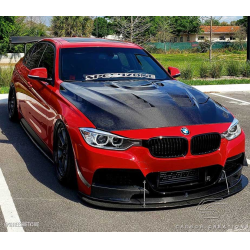 2012-2018 BMW 3 Series F30 / 2014-2020 4 Series F32 Carbon Creations DriTech Eros Version 1 Hood - 1 Piece image - 3