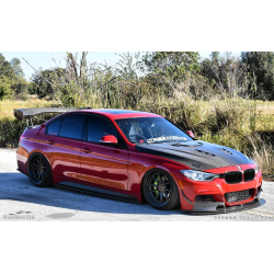 2012-2018 BMW 3 Series F30 / 2014-2020 4 Series F32 Carbon Creations DriTech Eros Version 1 Hood - 1 Piece image - 5