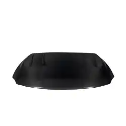 2008-2014 Lexus IS-F TS-2 Carbon Fiber Hood image - 6