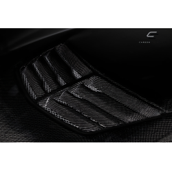 2004-2008 Pontiac Grand Prix Carbon Creations Stingray Z Hood- 1 Piece image - 11