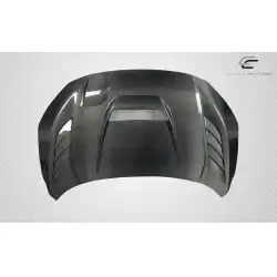 2016-2021 Honda Civic Time Attack Carbon Fiber Hood image - 9