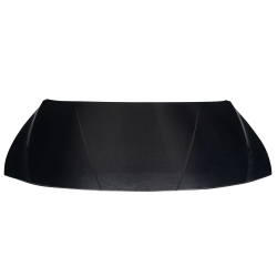 2021-2023 Hyundai Elantra Carbon Creations OEM Look Hood - 1 Piece image - 2