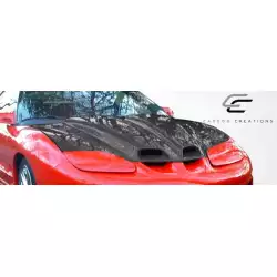 1998-2002 Pontiac Firebird WS-6 Hood - 1 Piece image - 3