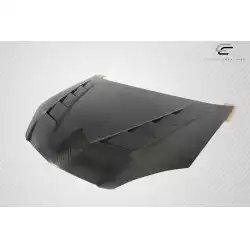 2002-2006 Acura RSX DriTech TS-2 Hood - 1 Piece image - 10