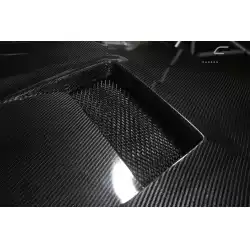 2008-2017 Mitsubishi Lancer / Lancer Evolution 10 Lancer DriTech Race Hood - 1 Piece image - 12