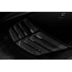 2004-2008 Pontiac Grand Prix Carbon Creations Stingray Z Hood- 1 Piece image - 25