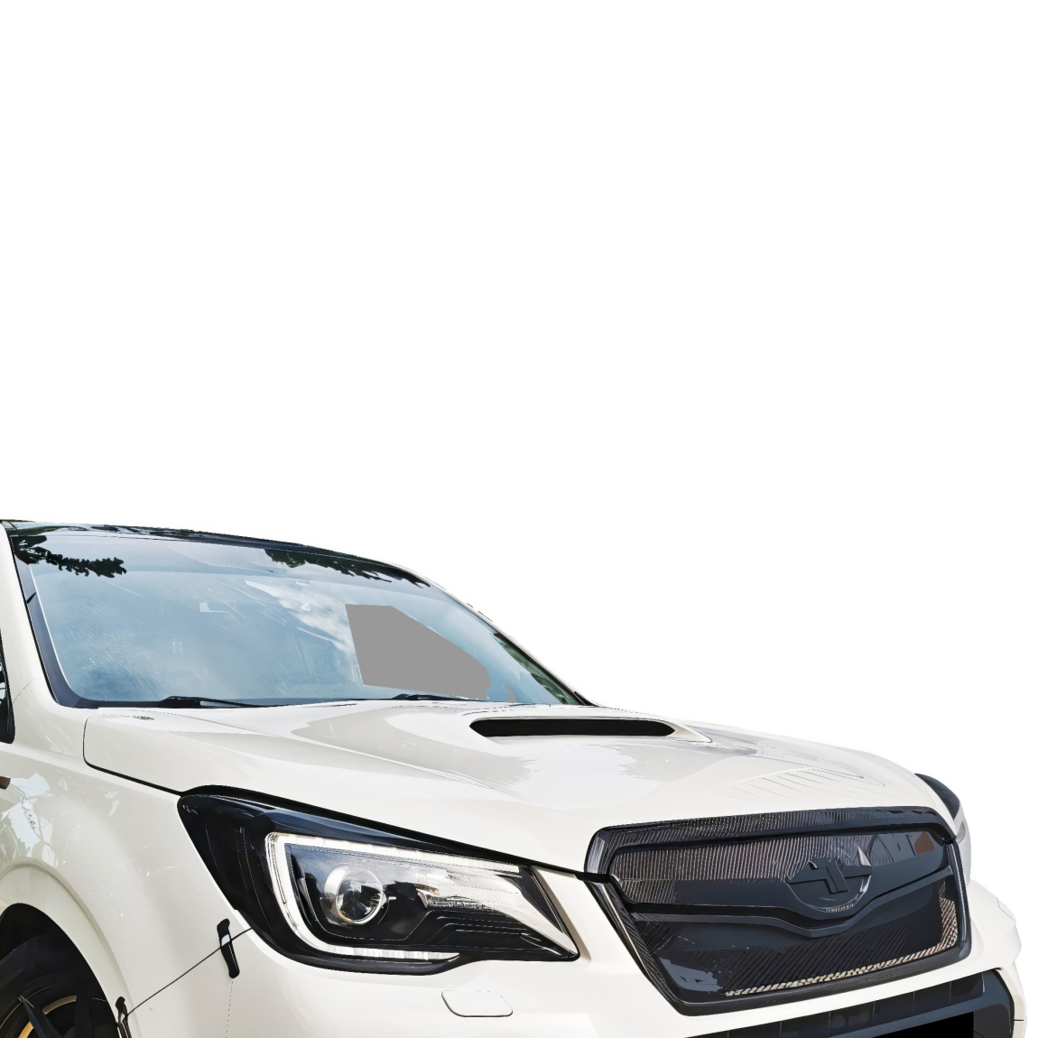 All kind of body kits for Subaru Forester 2014. Exterior/Hoods 