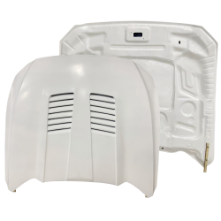 ModeloDrive FRP CFY Hood > Ford Mustang 2015-2017 image - 1