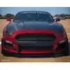 2015-2017 Ford Mustang Carbon Creations GT350 Look Hood - 1 Piece - Image 5