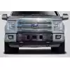 2015-2020 Ford F-150 Carbon Creations BSZ Front Bumper Grille - 1 Piece - Image 1