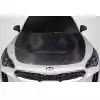 2018-2023 Kia Stinger Carbon Creations GTS Look Hood - 1 Piece - Image 1