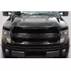 2009-2014 Ford F-150 Carbon Creations Rage Grille - 1 Piece - Image 1